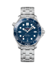 OMEGA SEAMASTER DIVER 300M 42mm STEEL ON STEEL Watch 210.30.42.20.03.001