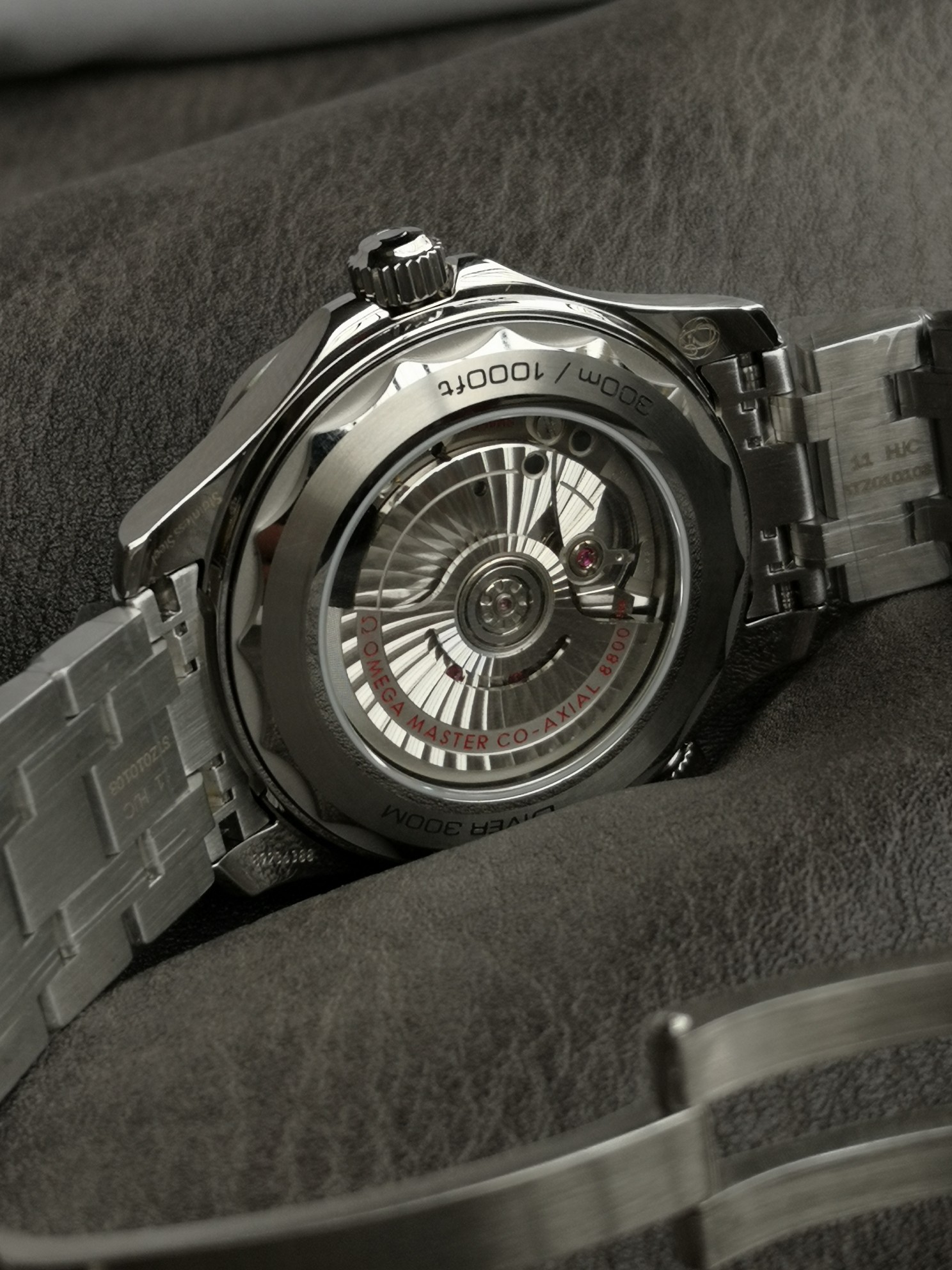 VS limited recommendation: Omega seahorse series 