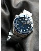 VS Limited Recommendation: Omega Seahorse Series 