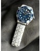 VS Limited Recommendation: Omega Seahorse Series 