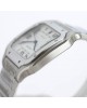 Cartier Cartier AF5 SANTOS watch series