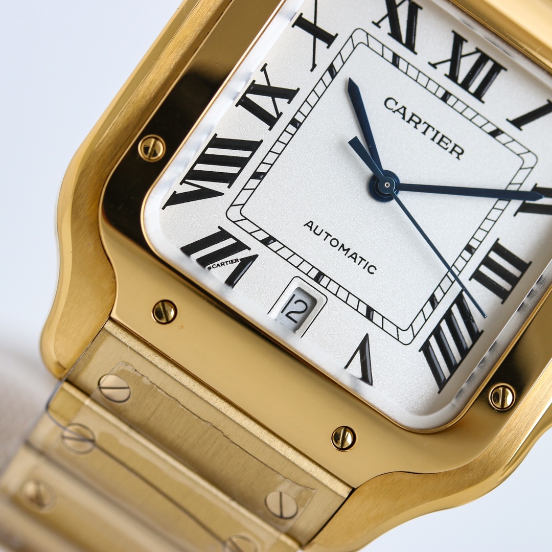 Cartier Cartier AF5 SANTOS watch series