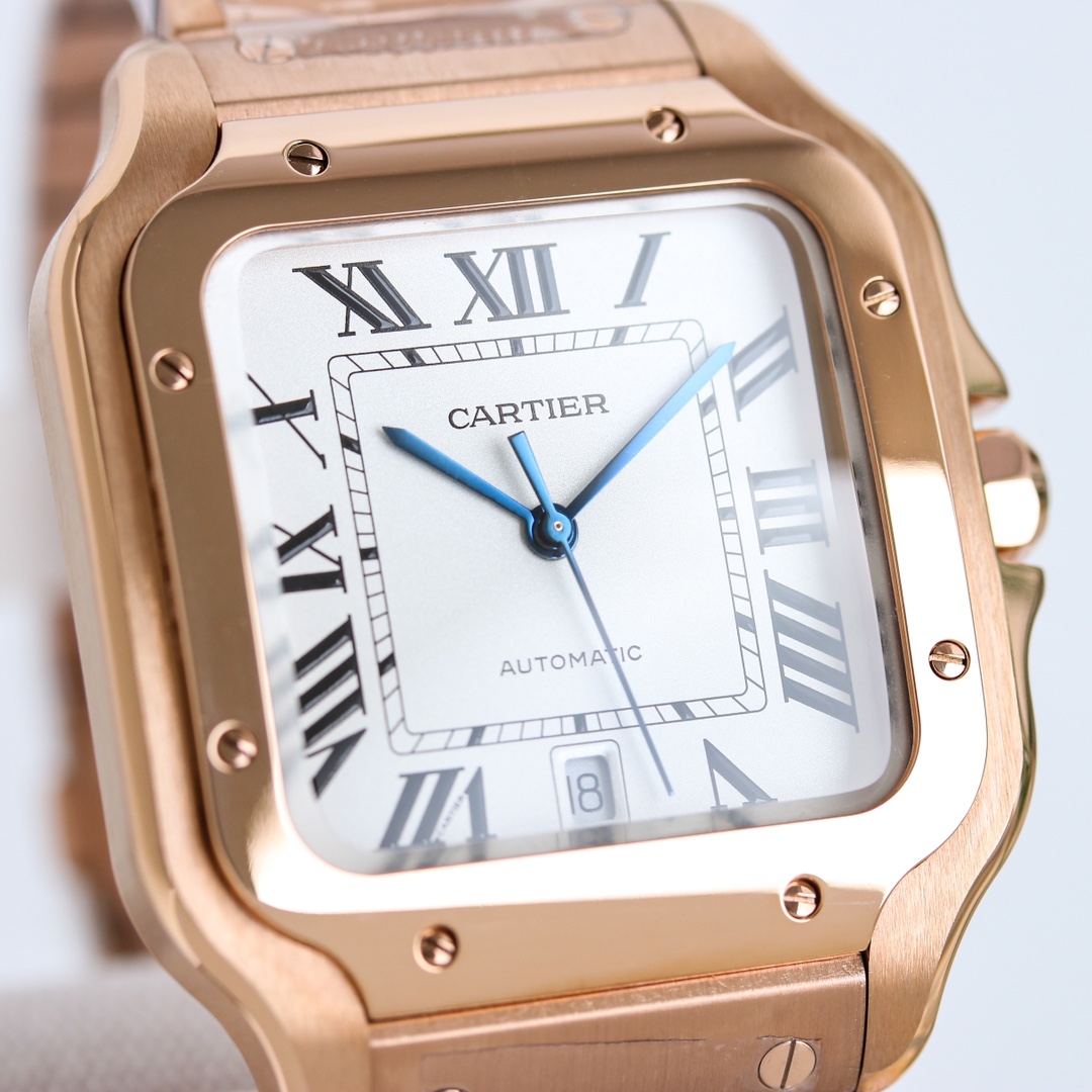 Cartier Cartier AF5 SANTOS watch series